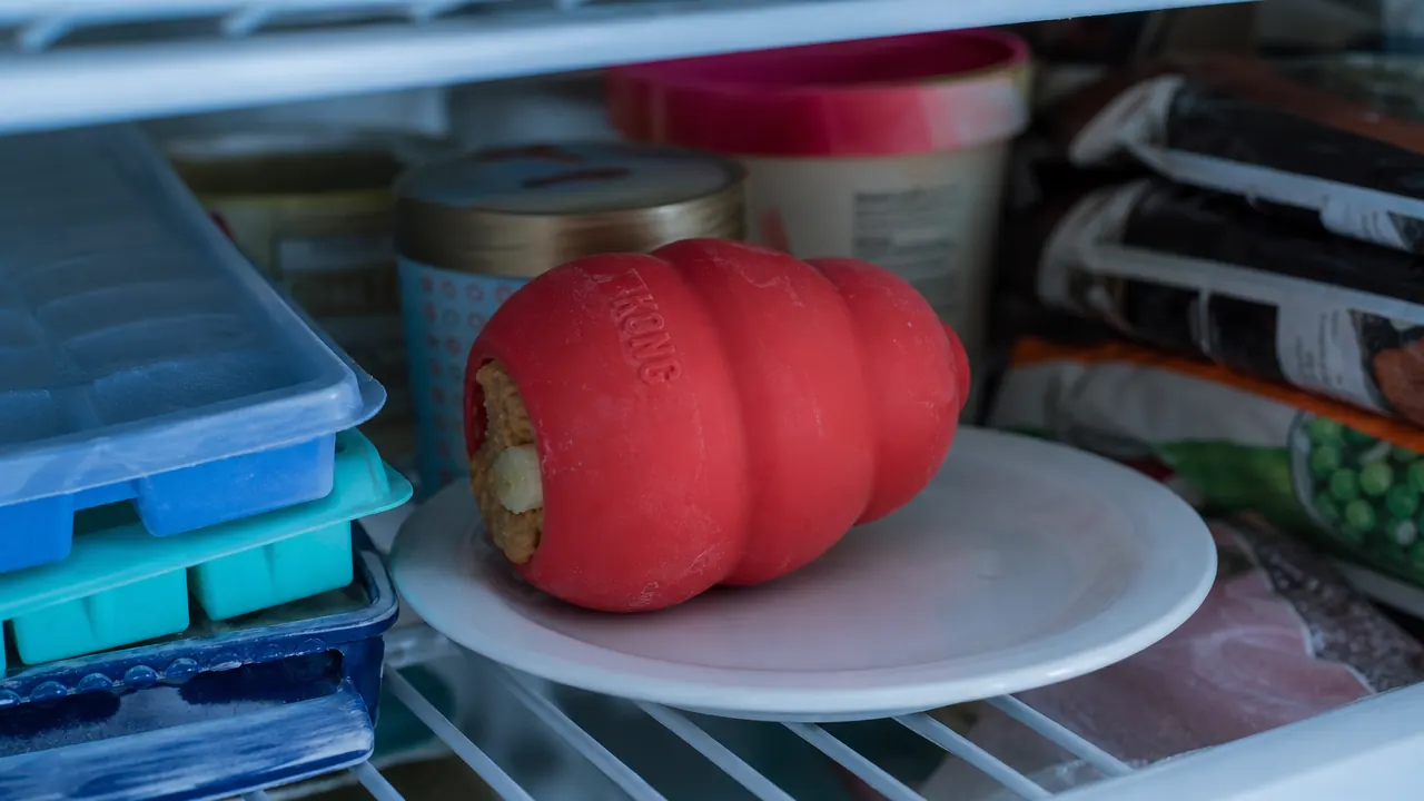 Four stuffed KONG toys lined up on a baking sheet going into the freezer